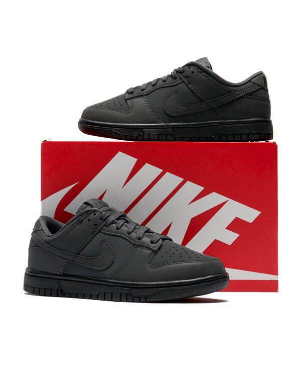 Nike WMNS DUNK LOW | FZ3781-060 | AFEW STORE